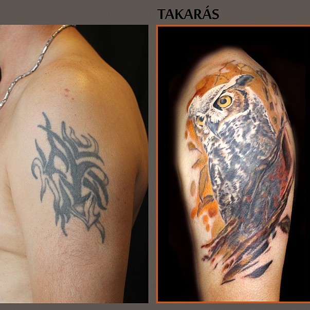 Owl tattoo - cover-up